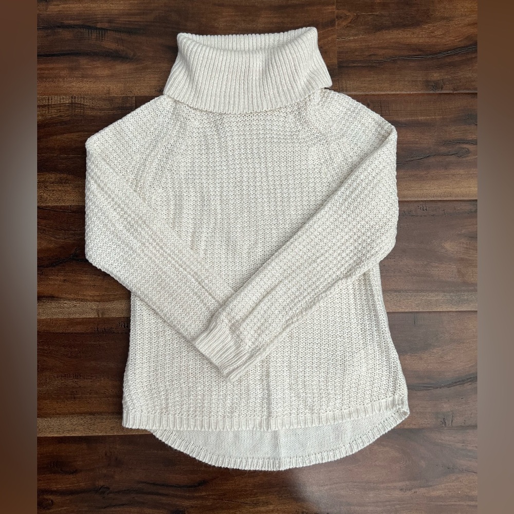 Ashely By 26 International Knitted Turtle Neck Sweater
